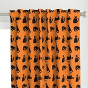 black cats on orange Halloween