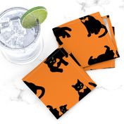 black cats on orange Halloween