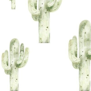 Green Watercolor Cactus