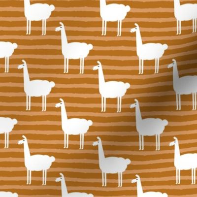 llamas on stripes - cider