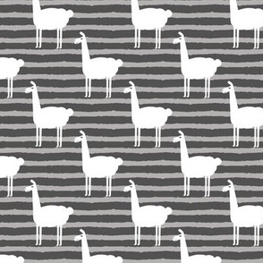 llamas on stripes - grey