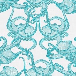 Cephalopod - Octopi Turquoise & White