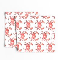 1f Crab Red Nautical Beach Animal