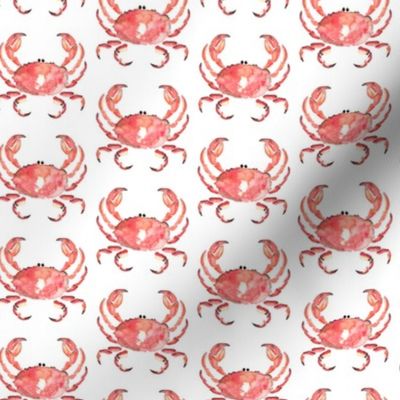 1e Crab Red Nautical Small