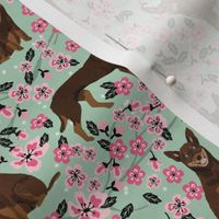 australian kelpie dog fabric red and tan kelpie design - cherry blossoms - mint