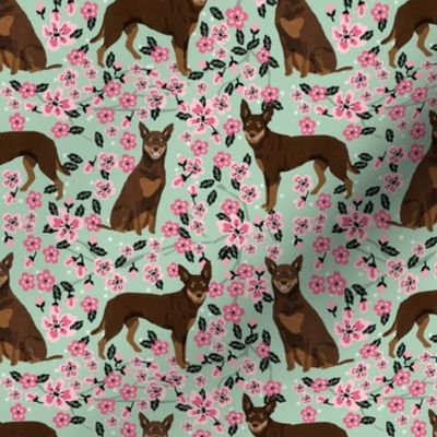 australian kelpie dog fabric red and tan kelpie design - cherry blossoms - mint