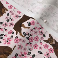 australian kelpie dog fabric red and tan kelpie design - cherry blossoms - pink