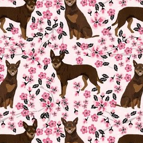 australian kelpie dog fabric red and tan kelpie design - cherry blossoms - pink
