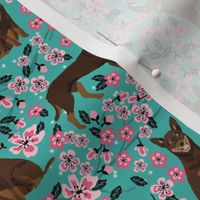 australian kelpie dog fabric red and tan kelpie design - cherry blossoms - turquoise