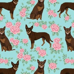 australian kelpie dog fabric red and tan kelpie design - roses - light blue