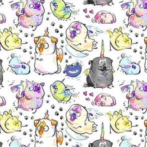 Rainbow Pugicorns - white