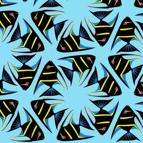 Geometric Angelfish - Black with Yellow Stripes