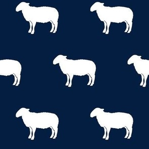 sheep on navy