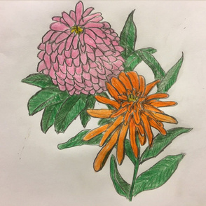 zinnias