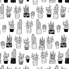 outline cacti 3