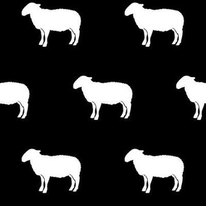 sheep on black