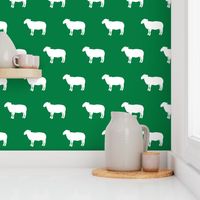 sheep on green 