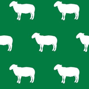 sheep on green 