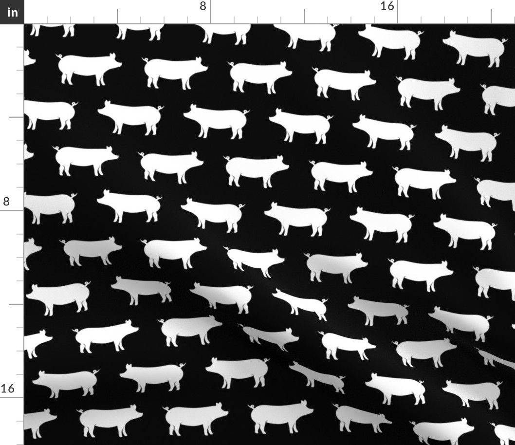 pigs on black