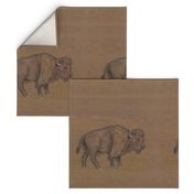 Bison Buffalo for Pillows