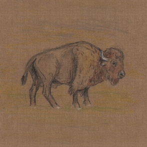 Bison Buffalo for Pillows