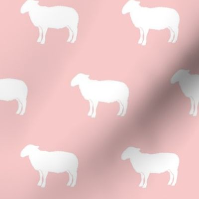sheep on pink