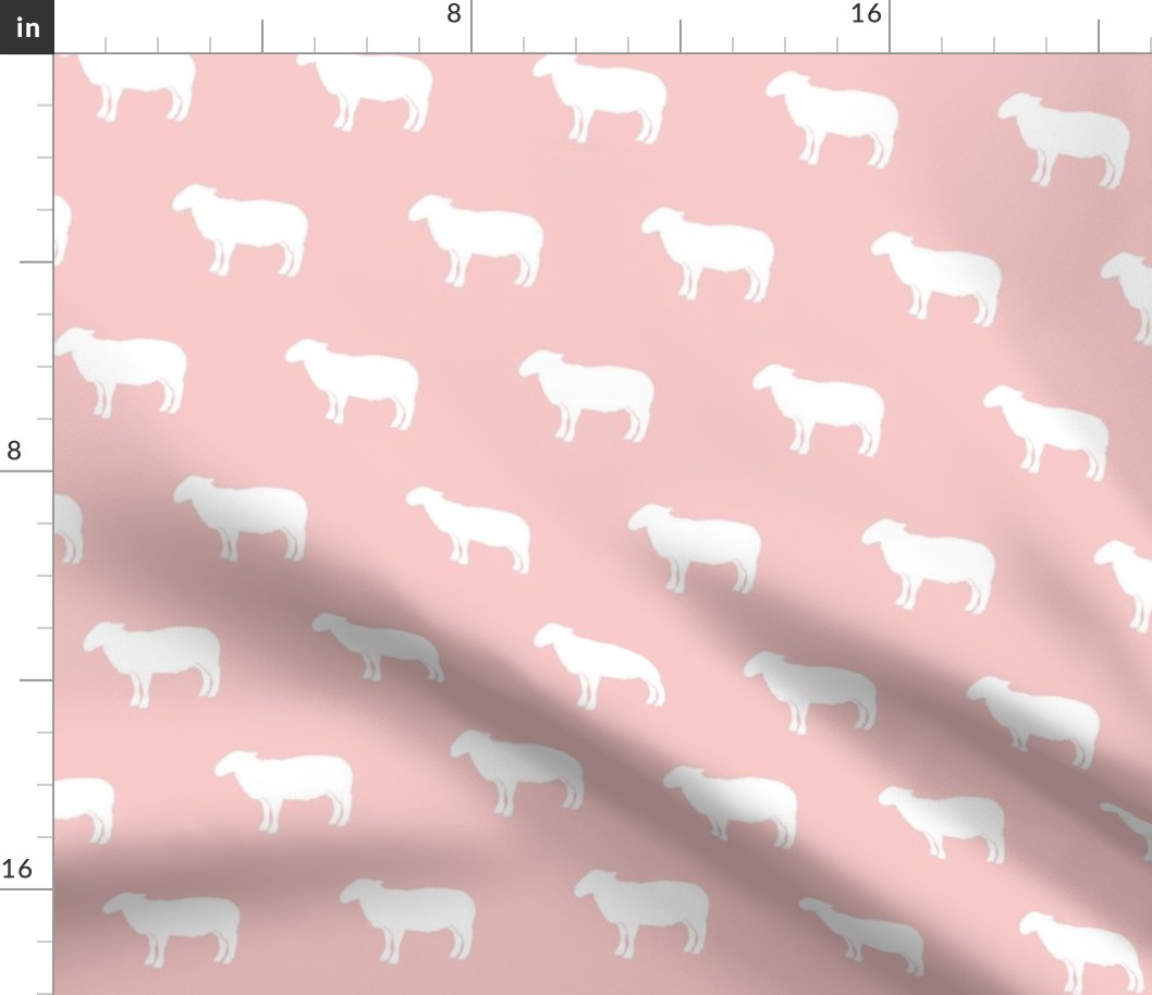 sheep on pink