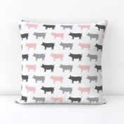 multi colored pigs (pink and grey)