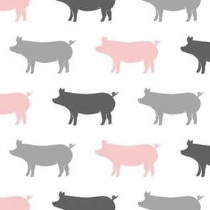 multi colored pigs (pink and grey)