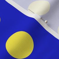 blue_yellow_spot