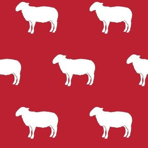 sheep on red