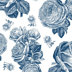 Toile Roses Blue