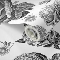 Toile Roses Black