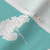 White hydrangeas on blue background