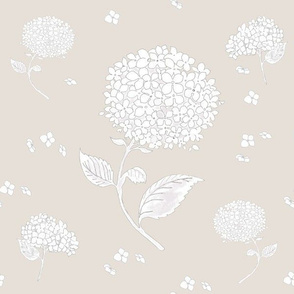 Floating Hydrangea Flowers on Beige