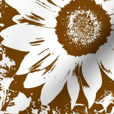 Brown_and_white_sunflower-ch-ch-ch