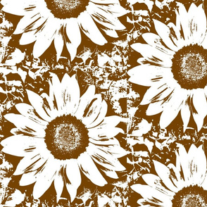 Brown_and_white_sunflower-ch-ch-ch