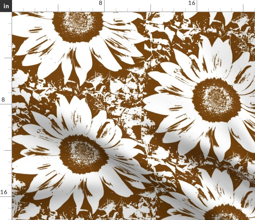 Brown_and_white_sunflower-ch-ch-ch