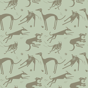 whippet-greyhound-retro