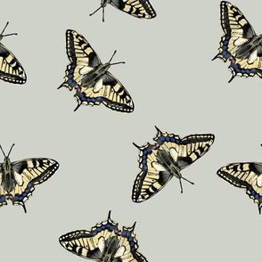 Scattered Butterflies