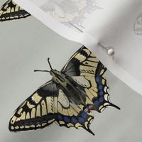Yellow and Black Butterfly - Half Brick Repeat