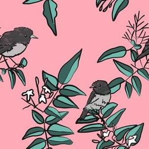 Jasmine & Robins on pink