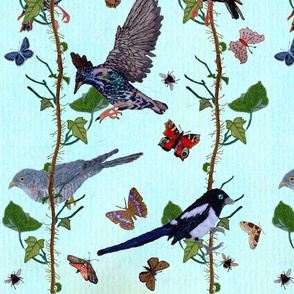 Birds, Butterflies and Ivy
