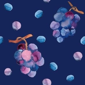 Watercolor grapes on dark blue