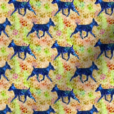 Cosmic trotting Toy Fox Terrier - day