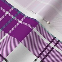 MacPherson dress tartan, 6" purple