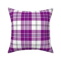 MacPherson dress tartan, 6" purple