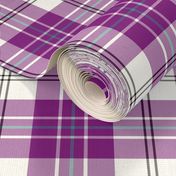 MacPherson dress tartan, 6" purple