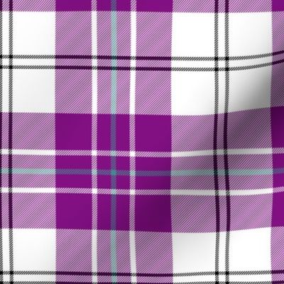 MacPherson dress tartan, 6" purple