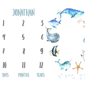 Jonathan / Nautical Sea Creatures Milestone - 42" x 36"